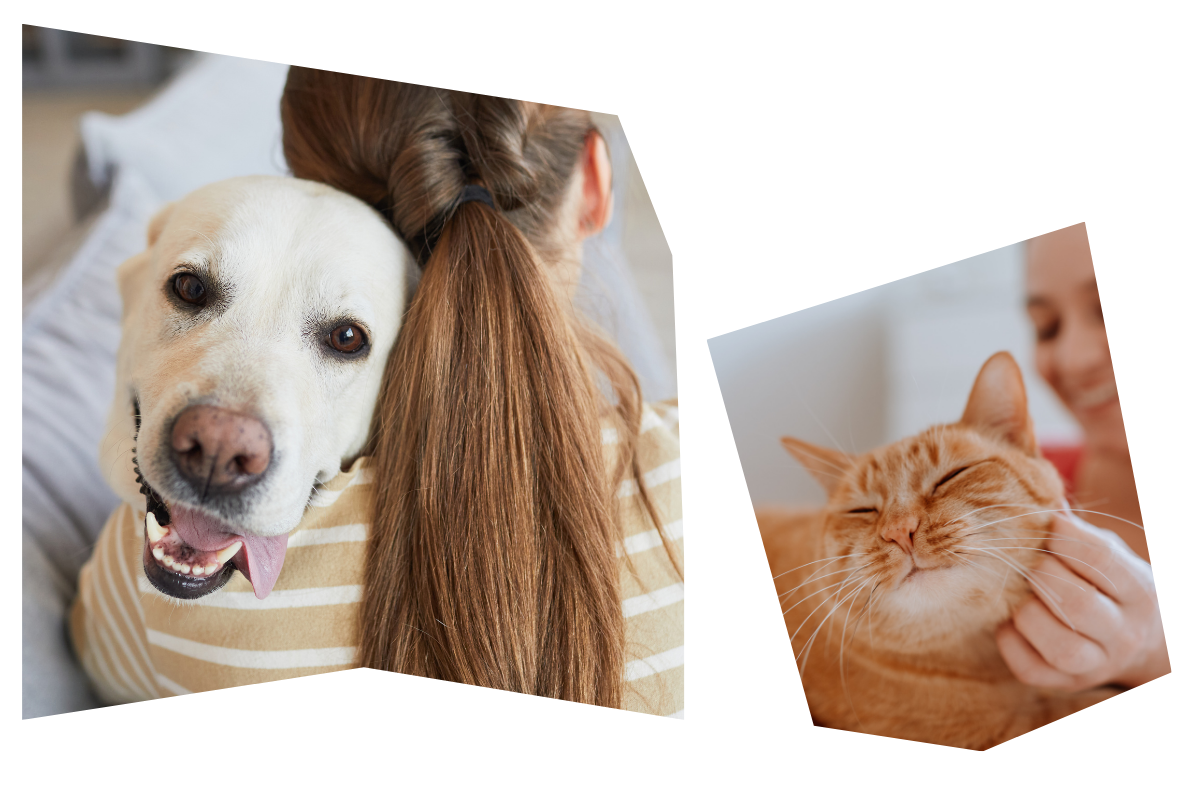 a dog with their tongue out and cat with girl