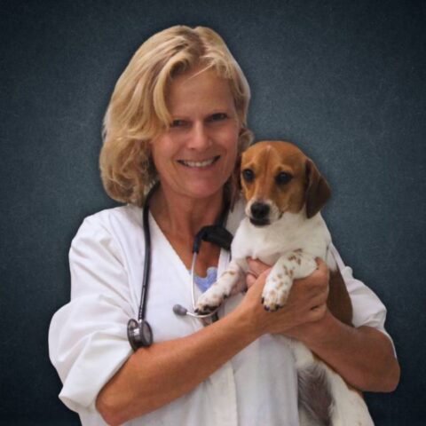 Veterinarian In Manakin-Sabot, VA | Vet Referral & Critical